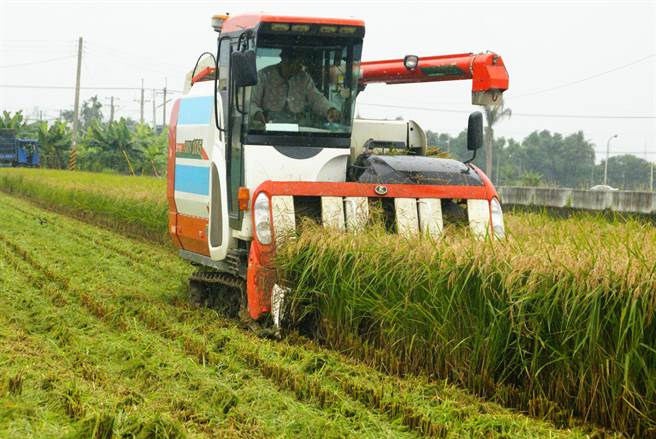 原物料价格不断上涨，种稻生产成本也攀升，云林县府建请农委会提高公粮收购价格以照顾广大稻农，不过农粮署答覆恐加剧生产过剩，因此不宜调整。（周丽兰摄）