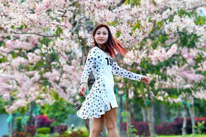 台东鹿鸣酒店桃花林音乐季即将从4月1日起浪漫登场。（鹿鸣提供）