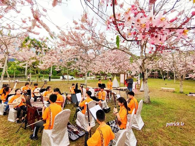 台东鹿鸣酒店桃花林音乐季即将从4月1日起浪漫登场。（鹿鸣提供）