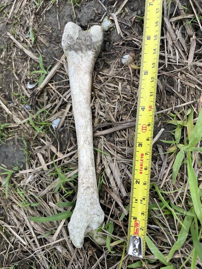 女研究生因为硕士论文题材是墓园艺术，在3月24日前往头城第一公墓取材，在抵美简圳旁的田埂上发现一袋麻布袋装的白骨，2根较长散落在外面。（民眾提供／吴佩蓉宜兰传真）