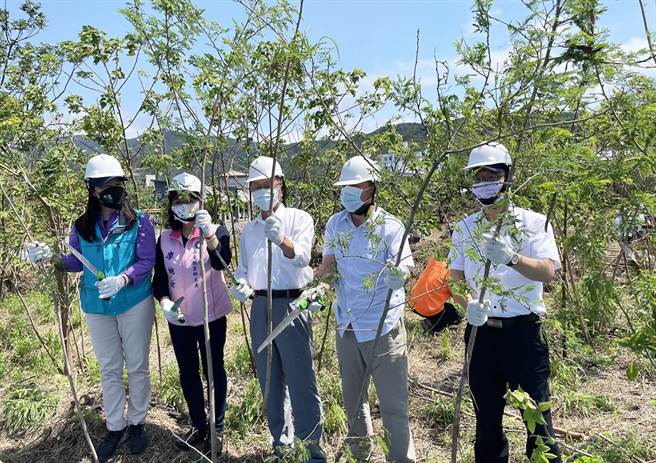 屏东林管处与屏东县政府合作移除银合欢，还给恒春半岛原有林相。（屏县府提供／林和生屏东传真）