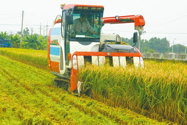 原物料價格不斷上漲，種稻生產成本也攀升，雲林縣府建請農委會提高公糧收購價格以照顧廣大稻農，不過農糧署答覆恐加劇生產過剩，因此不宜調整。（本報資料照片）