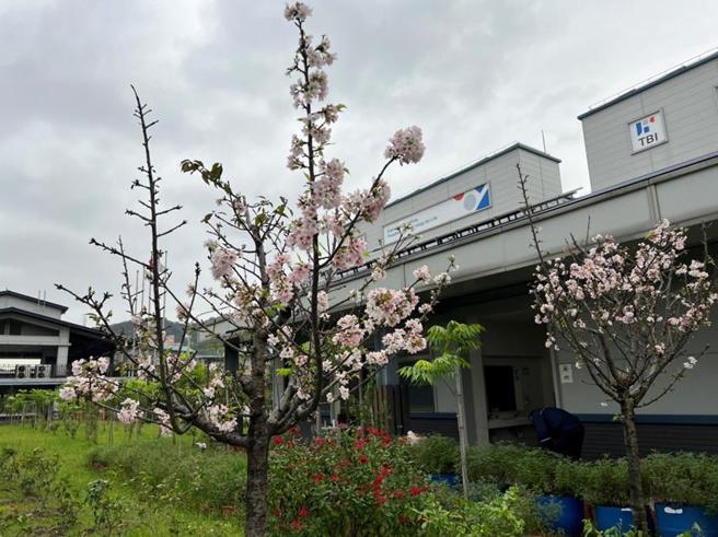 （全球传动树林厂因外籍移工确诊，25日起停工。图／全球传动提供）