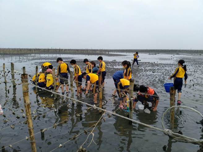 芳苑潮间带拥有多样的地质、丰富的动植物生态，近年吸引许多学校、家长前来，带着学童来趟丰富有趣的生态惊奇之旅。（协会提供／谢琼云彰化传真）