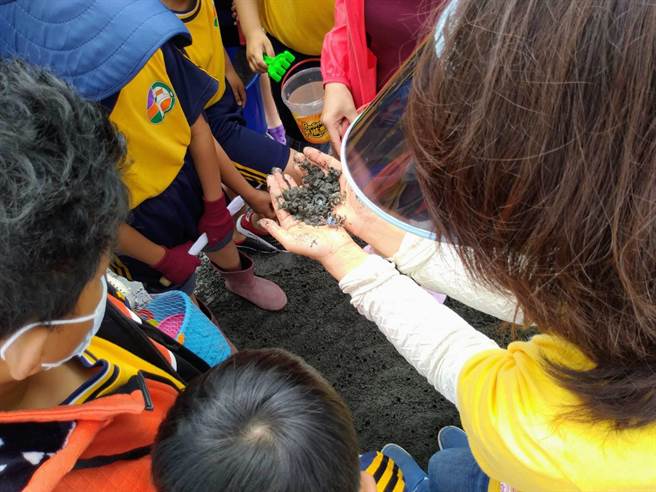 芳苑潮间带拥有多样的地质、丰富的动植物生态，砾石区、泥滩地与沙滩地的螃蟹贝类各异其趣。（协会提供／谢琼云彰化传真）