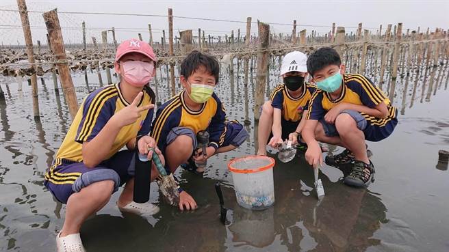 学童们穿着胶鞋在潮间带沃土中行走，认识潮汐与潮间带不同地质所蕴含的丰富动植物生态。（协会提供／谢琼云彰化传真）
