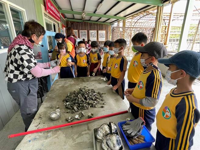 王功故事馆，让废弃蚵壳大变身成为蚵壳艺术品。（协会提供／谢琼云彰化传真）