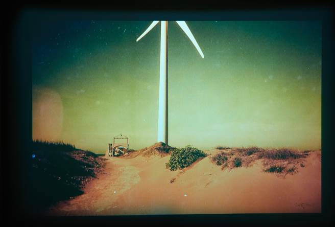 法籍聲音藝術家Yannick DAUBY作品《藻礁》。（新北市文化局提供）