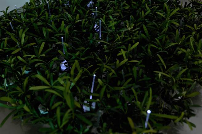 「動態自造實驗室」作品《流動》。（新北市文化局提供）