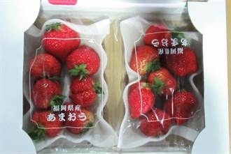 日本草莓又出包！ 新增9批農藥超標 半年累計35件