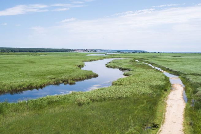 伊内阿达（Igneada）外海。（达志影像／shutterstock提供）