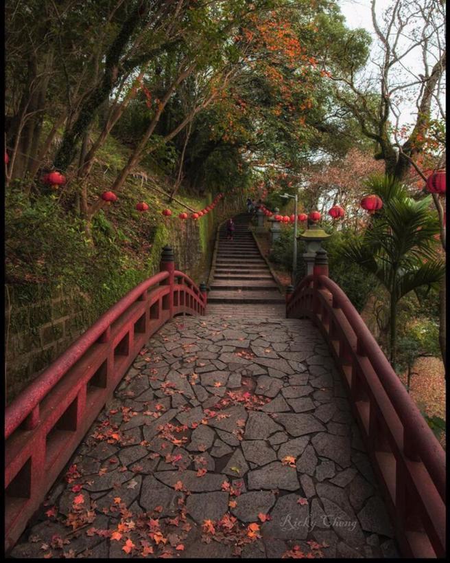 一秒掉入宫崎骏动画世界！独享霍尔城堡 寻觅千寻隧道 (图片／ReadyGO)