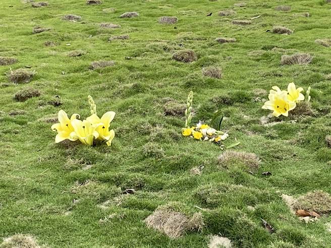 仁德生命纪念园区环保自然葬专区，从去年6月启用至今，已有665人提出申请，清明前节，已有民眾到园区献花追思先人。（曹婷婷摄）