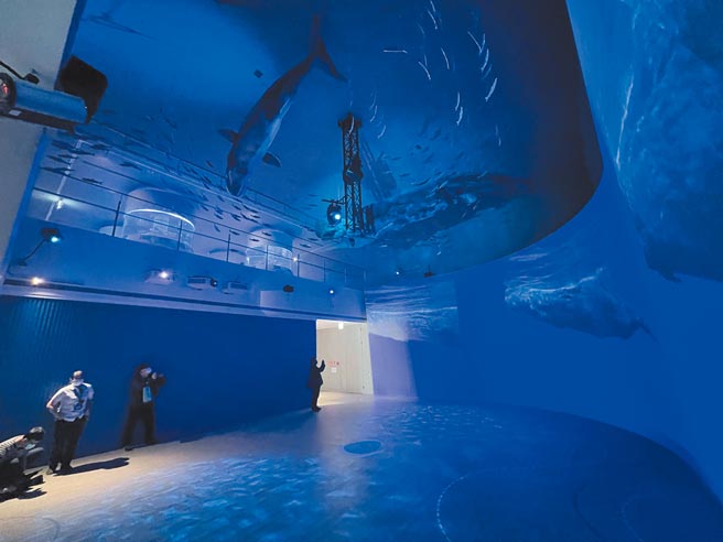 國立海洋科技博物館宣布，即日起至4月13日，調降部分場館參觀容留量。（陳彩玲攝）
