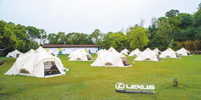 Lexus Glamping春游野营每梯次仅18帐。（陈大任摄）