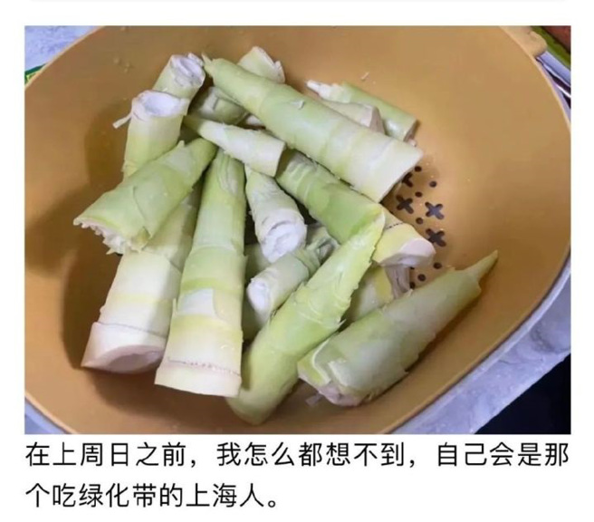 网民在网上分享孩子从社区绿化带上挖来竹笋的照片，后来还炒了盘竹笋炒肉丝。  （图／网路）