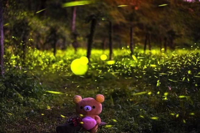 「2022萤光游戏—萤向那玛夏」活动开跑。　图：高雄市政府观光局／提供