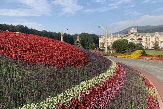 九族文化村万株花卉盛开。　图：九族文化村／提供