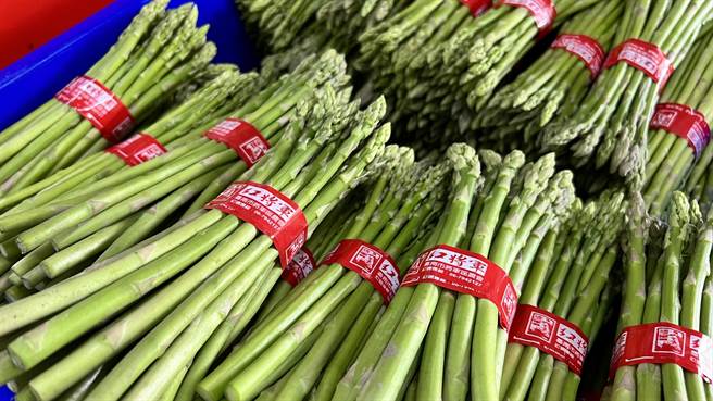 台南市将军区的绿芦笋刚进入产季，由于产量减少，将军区农会调升收购价格。（张毓翎摄）