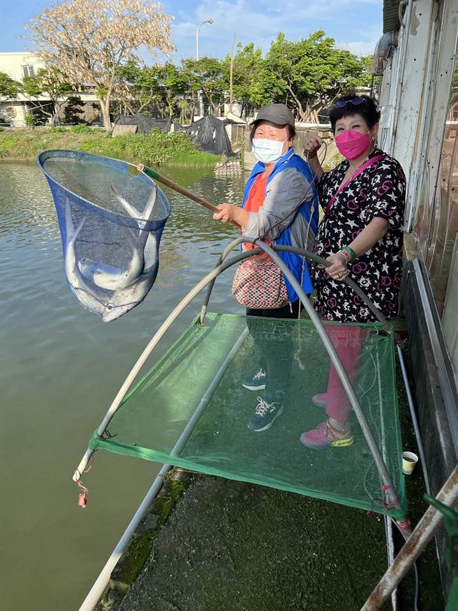 推广地方创生，云林县水林乡「好虾冏男社」推出生态池垂钓活动。（好虾冏男社提供／张朝欣云林传真）