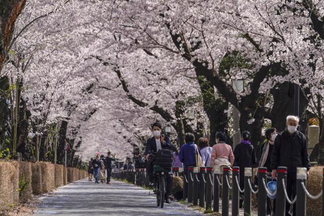 东京疫情有回温迹象。图为东京街头。（图／美联社）