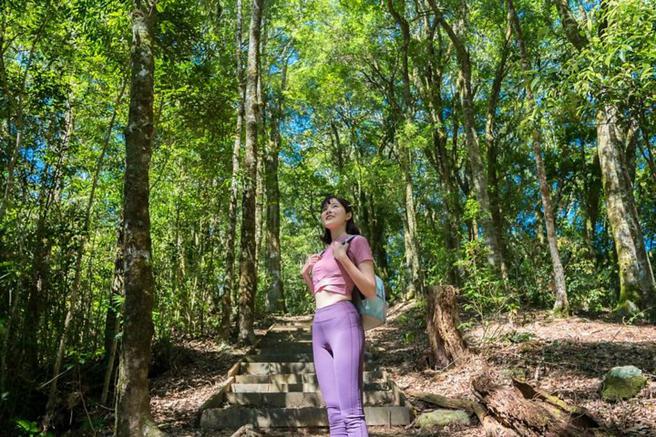 ▲跟着Youtuber 狂人JoJo漫步藤枝呼吸芬多精感受美妙森林仙境。　图：高雄市政府观光局／提供