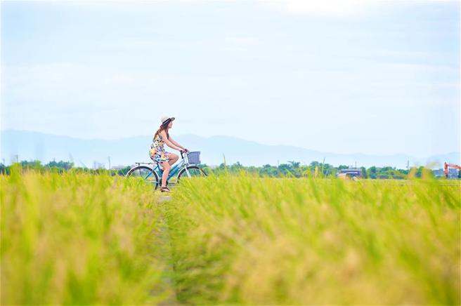 （礁溪捷丝旅「春日探险」专案，旅人可骑乘自行车漫骑于宜兰伯朗大道绝美蹈浪里。图／捷丝旅提供）