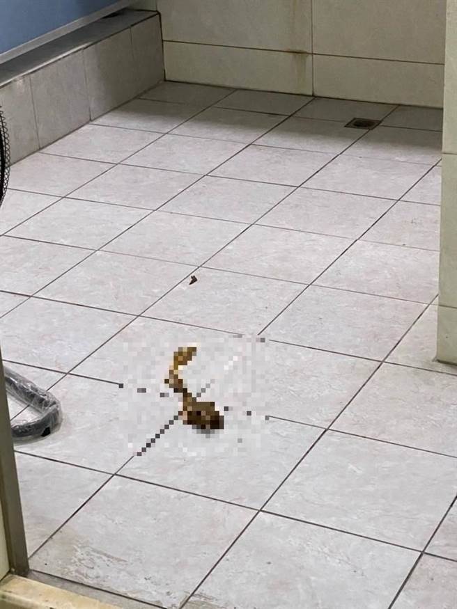 台南市安平区侦查队长蔡志成在厕所内剉赛，被人拍下遗物，辗转到网路上爆料，遭记申诫调职。（读者提供／程炳璋台南传真）