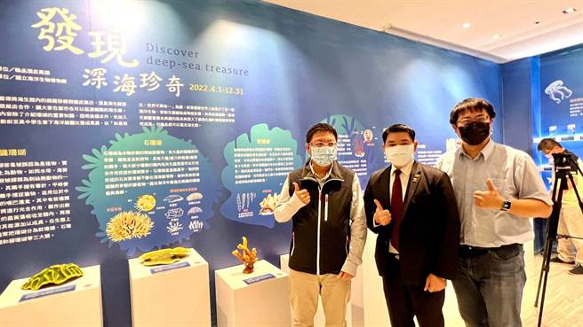 高雄翰品酒店与国立海洋生物博物馆合作，4月1日起在饭店1楼展出「发现深海珍奇~在翰品遇见海生馆」至12月31日。（柯宗纬摄）