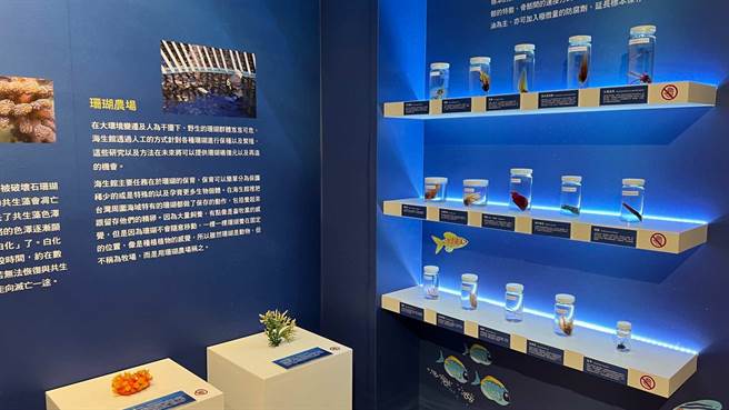 高雄翰品酒店与国立海洋生物博物馆合作，4月1日起在饭店1楼展出「发现深海珍奇~在翰品遇见海生馆」至12月31日。（柯宗纬摄）