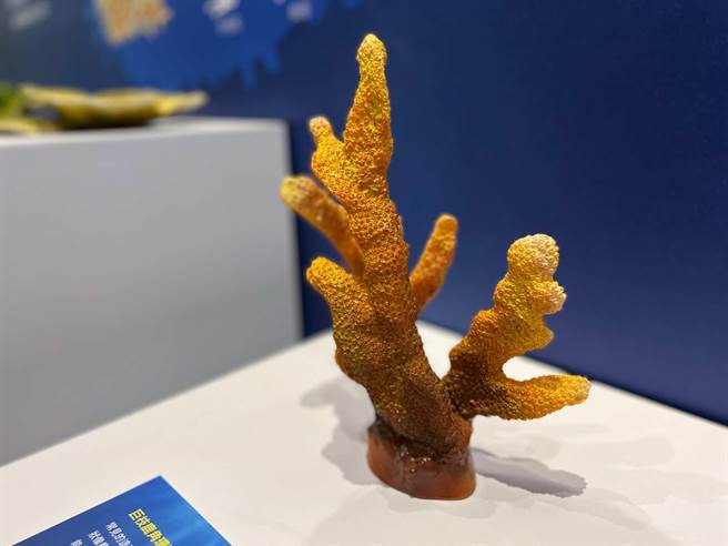 高雄翰品酒店与国立海洋生物博物馆合作，4月1日起在饭店1楼展出「发现深海珍奇~在翰品遇见海生馆」至12月31日。（柯宗纬摄）