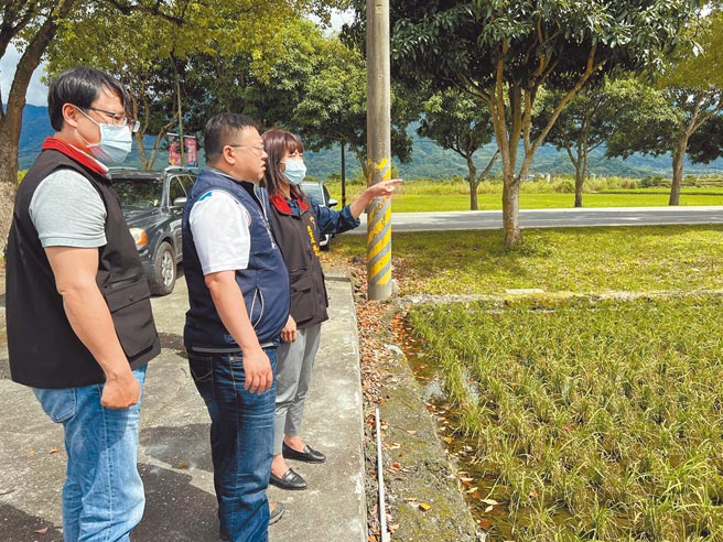 花蓮南區玉里鎮零星水稻田已開始出現水稻稻熱病疫情，農業處長陳淑雯（右）和玉溪農會總幹事蔡宗翰（中）前往田間進行勘查。（農業處提供／王志偉花蓮傳真）