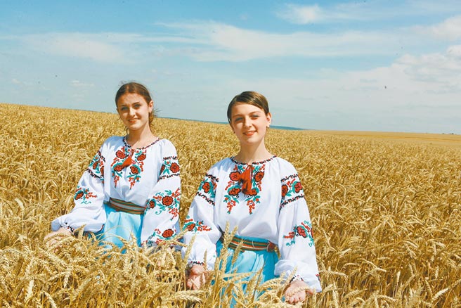 俄烏皆為全球穀物大國，聯合國世界糧食計畫署（WFP）當地時間29日提出警告，俄烏戰事若持續，恐引發全球糧食危機。圖為站在麥田中的烏克蘭少女。（新華社）