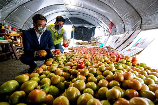 宜兰市长江聪渊（左一）今天前往壮围乡「采福好田」，邀请民眾参加「番茄与他的产地」推广课程，也盼宜兰的精致农业能形成在地特色，获得全国乡亲的认同。（李忠一摄）