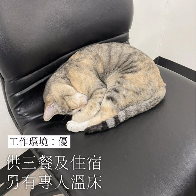 工作环境除供3餐、住宿外，还有专人温床。（翻摄自脸书TCPB 局长室）