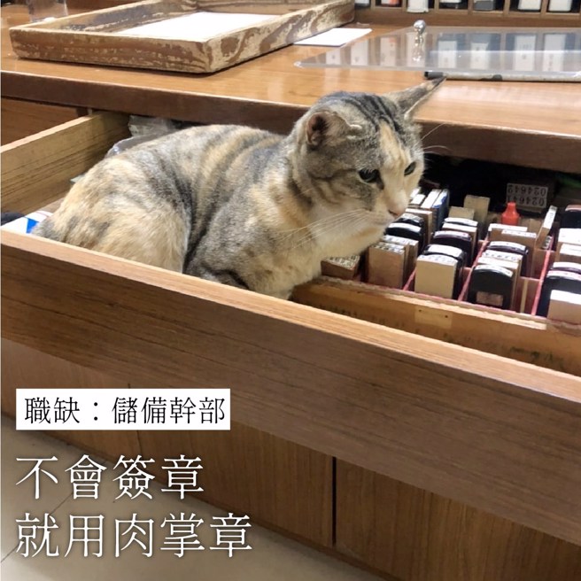 储备干部会用肉掌章代替签章。（翻摄自脸书TCPB 局长室）