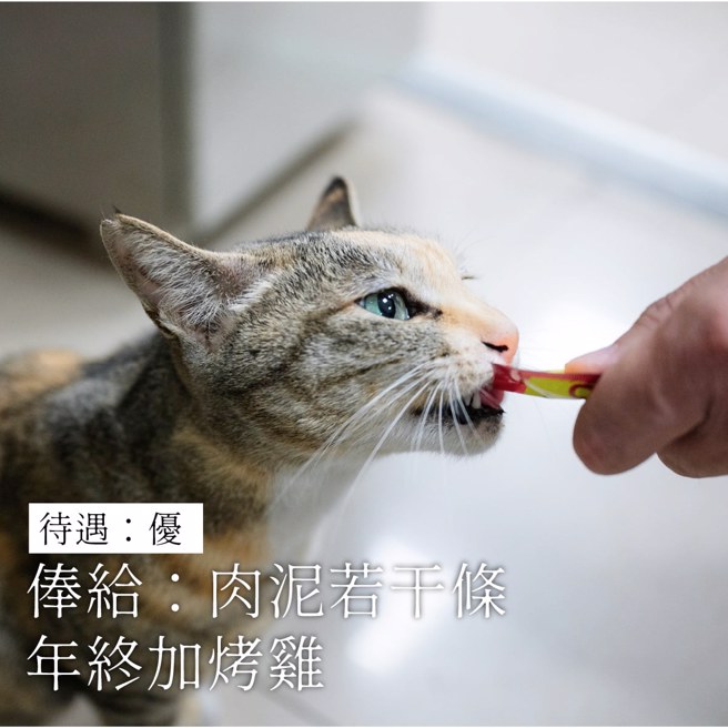 优渥的待遇除了肉泥、罐罐，年终还有烤鸡。（翻摄自脸书TCPB 局长室）