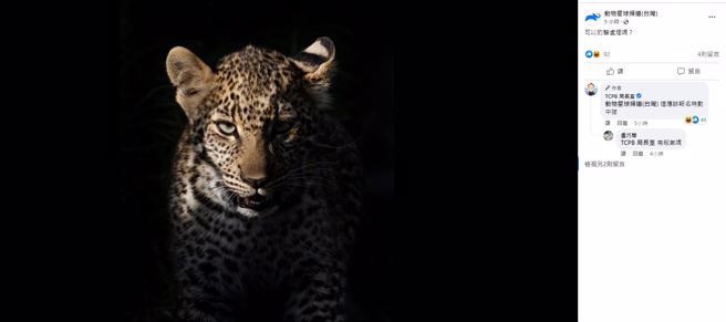 台中市警局长室在脸书官网公布成立警猫队讯息，连表情凶狠的猎豹也来应徵。（翻摄自脸书TCPB 局长室）