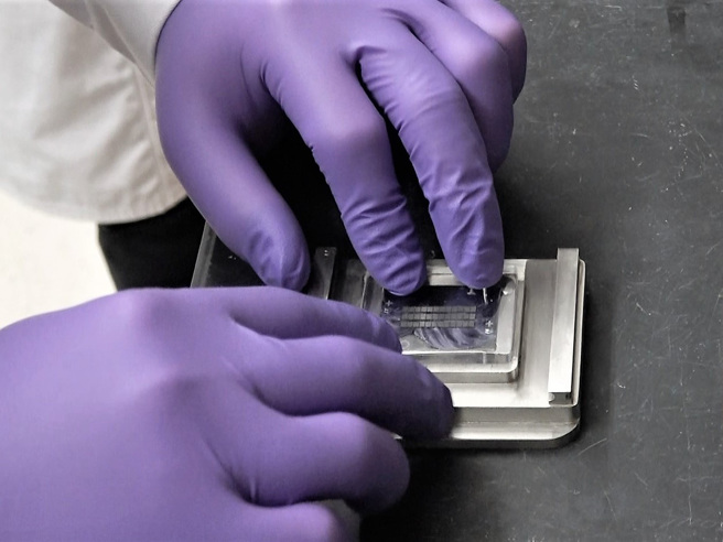 美国和日本将邀请ASEAN成员国参与新的「印太经济架构」，希望预防半导体和其他战略货品短缺。（示意图／中央社）