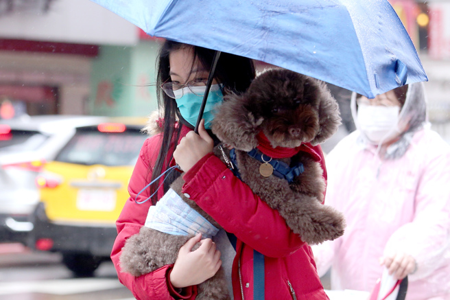 清明連假第一天，全台又濕又冷，低溫下探14度。（資料照／黃世麒攝）