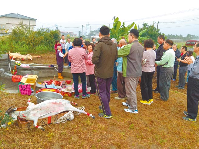 高雄市美浓区原有近5户家族清明节扫墓遵循古礼「少牢礼」仪式，如今仅剩合和里林氏大家族依古礼祭祖。（林作松提供／林雅惠高雄传真）