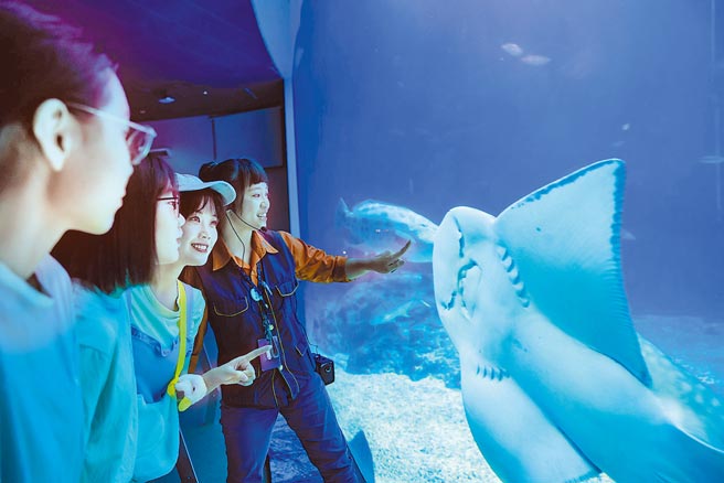 屏东海生馆4月起至9月推出限定体验行程「夜巡海生馆」，除有深度夜访海生馆外，还能夜探潮间带。（谢佳潾摄）