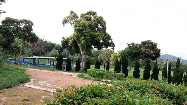 豐原公老坪上第七公墓2014年遷葬後，市府花費近3000萬進行綠美化，變身美麗的公園綠地。（市議員陳清龍服務處提供）