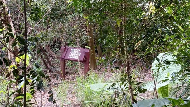 民眾投訴，一旁原就有步道、涼亭等設施，市府卻任由設施遭荒煙蔓草淹沒毀壞。（市議員陳清龍服務處提供）