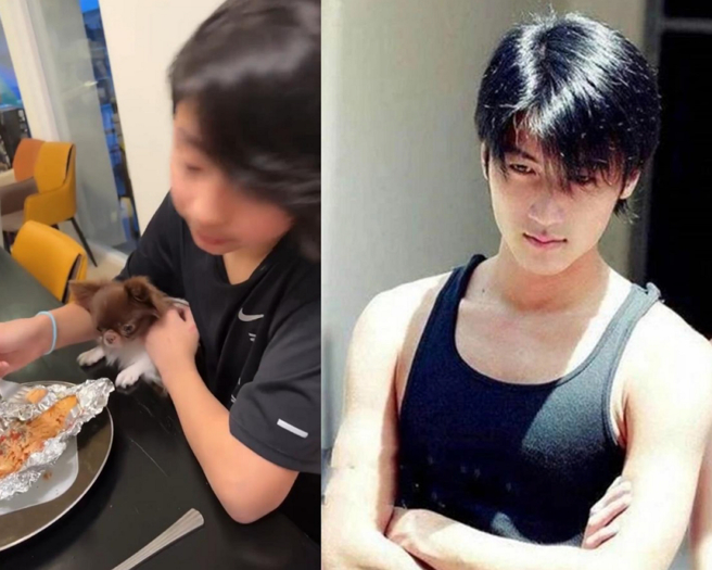 张柏芝二儿子Quintus越大越像谢霆锋。(图/ 摘自张柏芝IG、摘自微博)