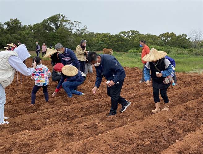 50位小学生和家长今天在金寧乡长杨忠俊（中）的带领下客串「一日小农」，在细雨纷飞的清明时分播下种子。（金寧乡公所提供）