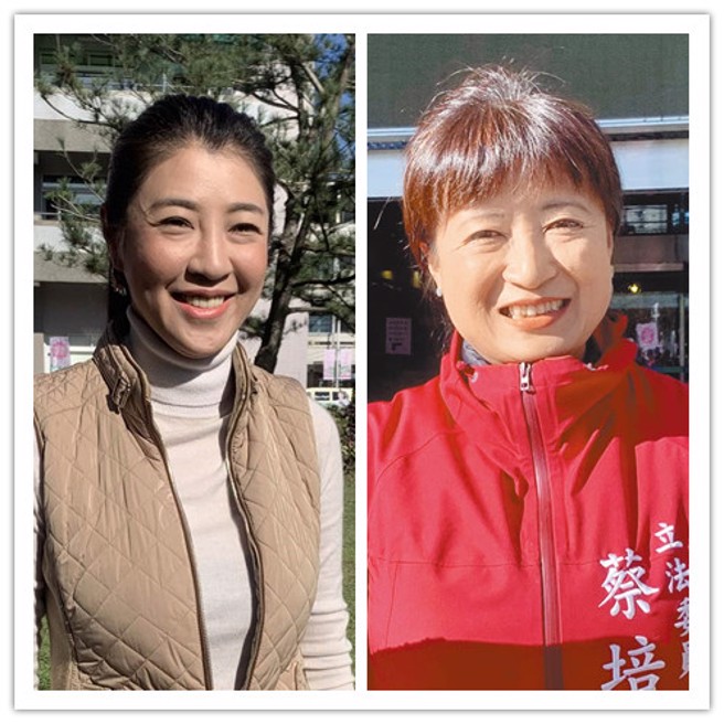 今年的南投县选战，国民党提名立委许淑华，民进党则徵召蔡培慧参选。(合成图/资料照)