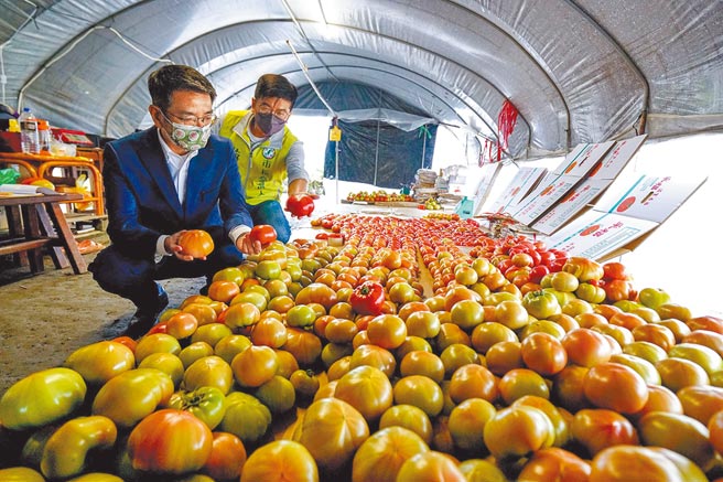 宜兰市长江聪渊（左一）邀请民眾参加「番茄与他的产地」推广课程，盼宜兰精致农业形成在地特色。（李忠一摄）