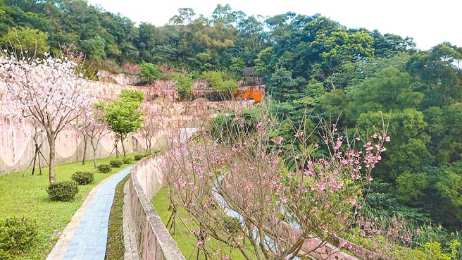 新北市订定《新北市殡葬管理自治条例》，规定往生后需在2个月完成埋葬与火化。图为新北市三芝樱花生命园区。（新北市民政局提供／叶德正新北传真）