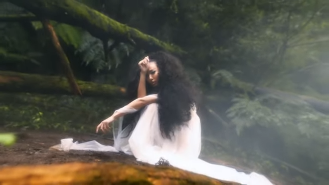 蔷蔷年度形象影片的第一个造型走森林系。(图／蔷蔷 Youtube)